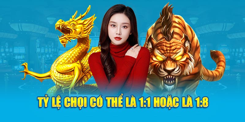 Tỷ lệ chọi có thể là 1:1 hoặc 1:8